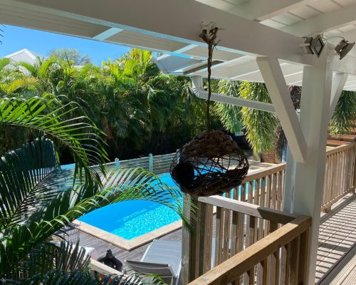 Homevacances-piscine-exterieure-vue depuis la terrasse